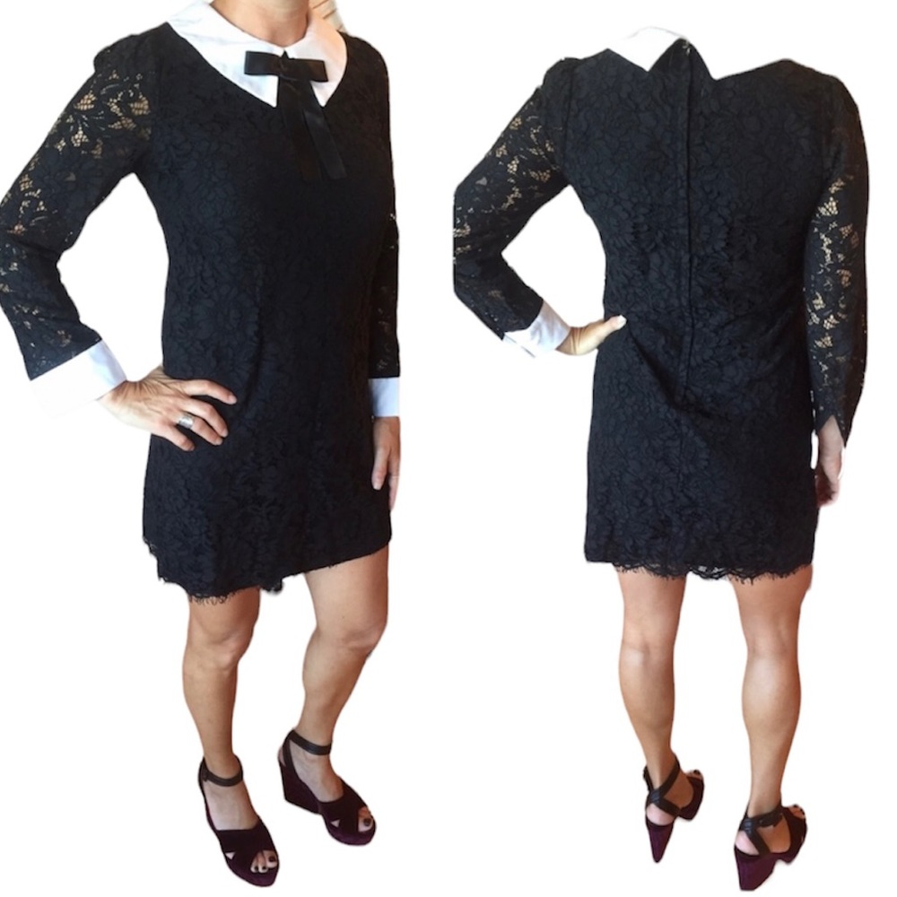 Parisian Little Black Lace Dress With Collar